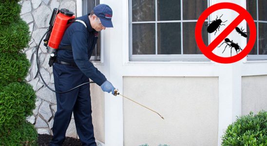 Yahyalı Uçan Haşere İlaçlama böcek ilaçlama ve haşere kontrolü — ilaclama-tr.com